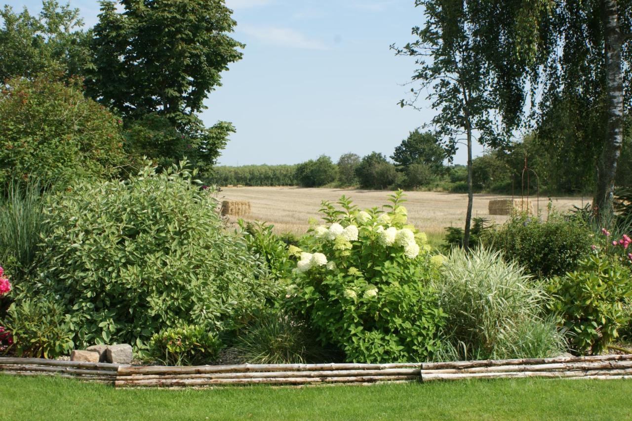 Lustrup Farmhouse Ribe Kültér fotó