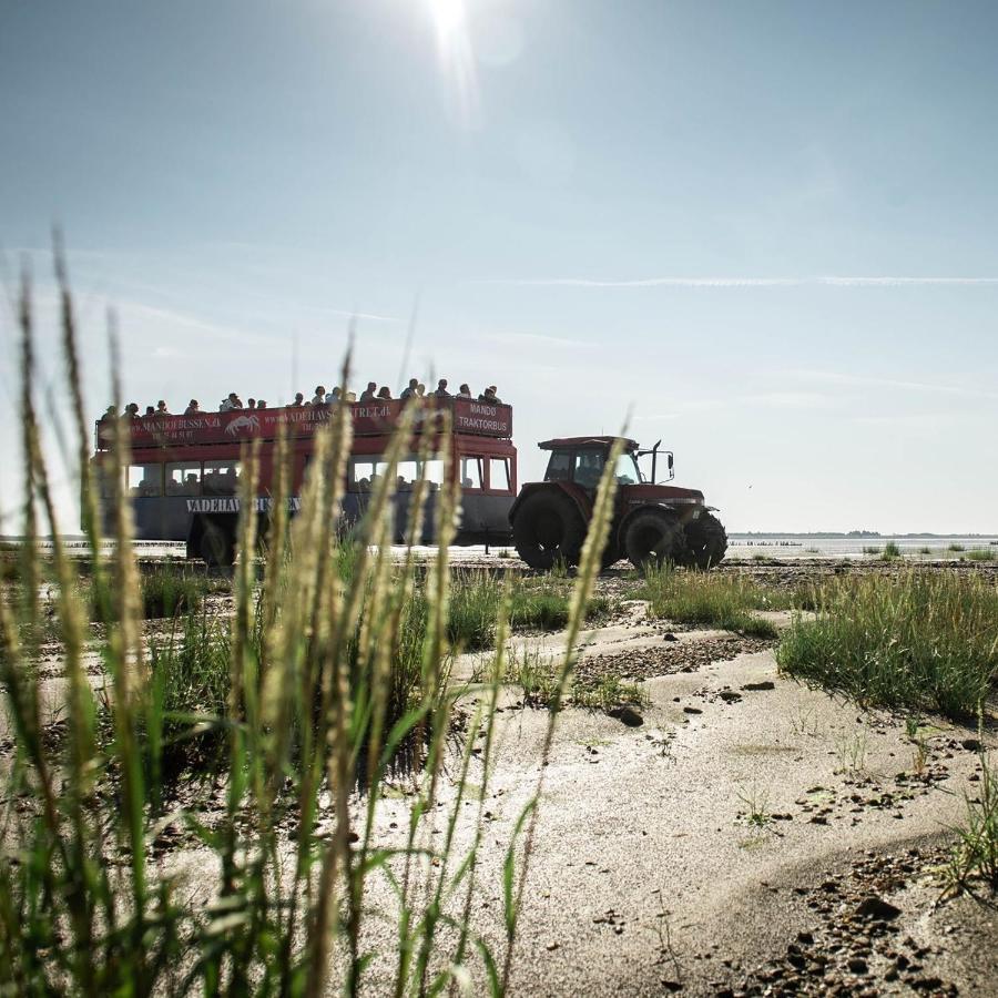 Lustrup Farmhouse Apartman Ribe Kültér fotó