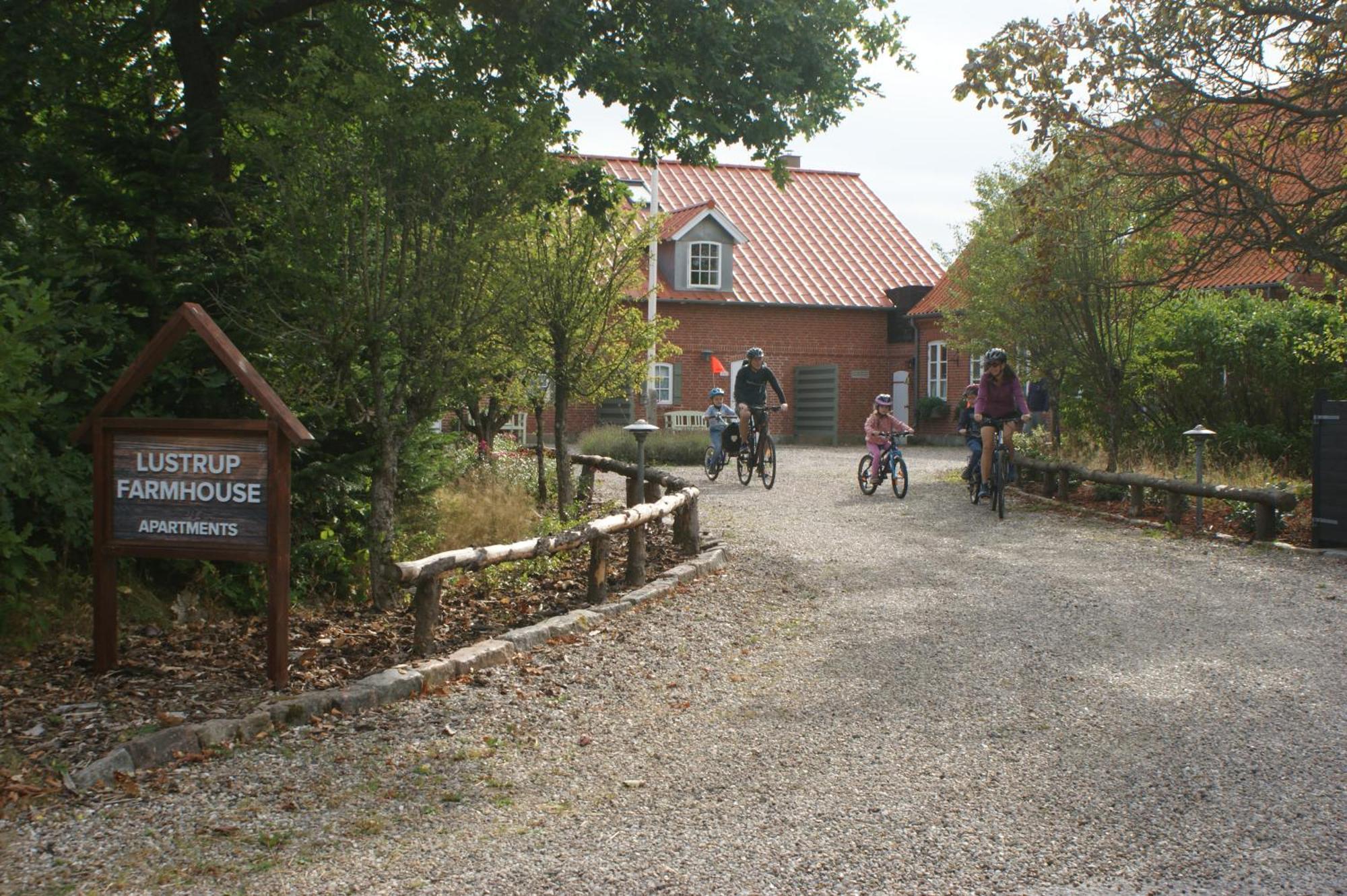 Lustrup Farmhouse Apartman Ribe Kültér fotó